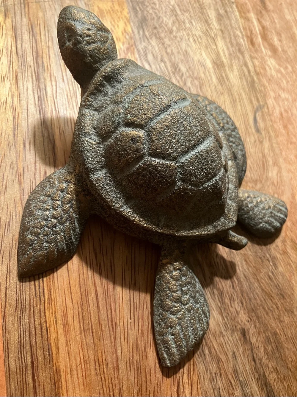 Sea turtle trinket holder